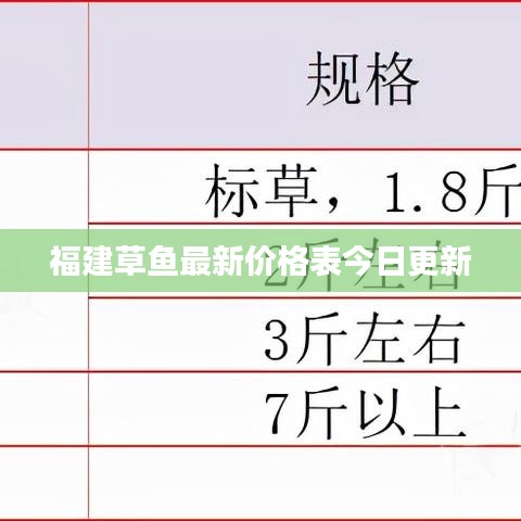 抛砖引玉