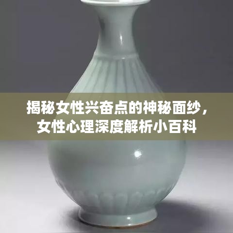 十年磨剑