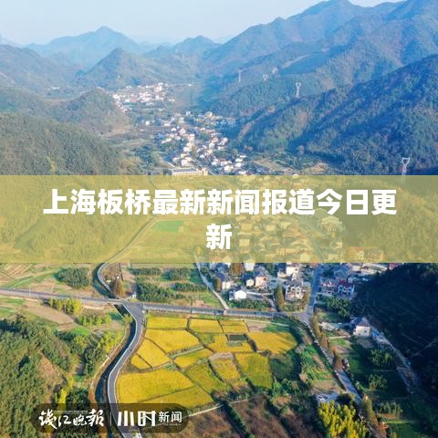 上海板桥最新新闻报道今日更新