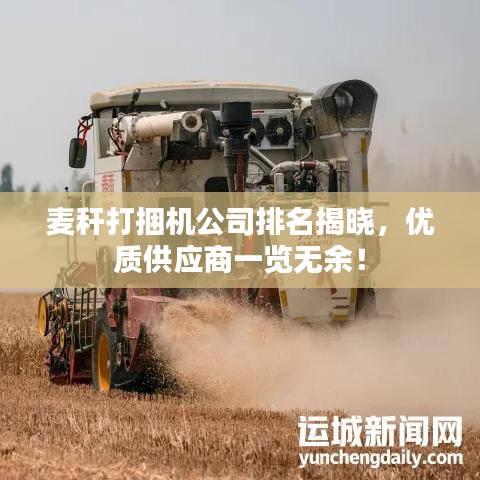 麦秆打捆机公司排名揭晓，优质供应商一览无余！