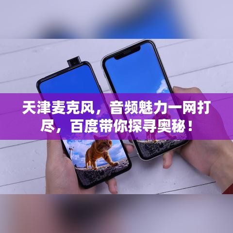 天津麦克风,音频魅力一网打尽,百度带你探寻奥秘!