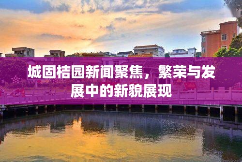 城固桔园新闻聚焦,繁荣与发展中的新貌展现