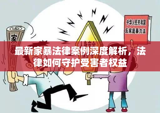 最新家暴法律案例深度解析，法律如何守护受害者权益