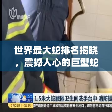 世界最大蛇排名揭晓,震撼人心的巨型蛇类榜单!
