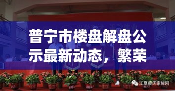 普宁市楼盘解盘公示最新动态，繁荣背后的透明化进程
