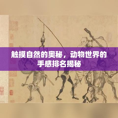触摸自然的奥秘，动物世界的手感排名揭秘
