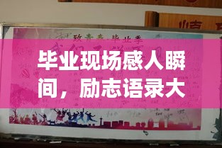 毕业现场感人瞬间，励志语录大放送！