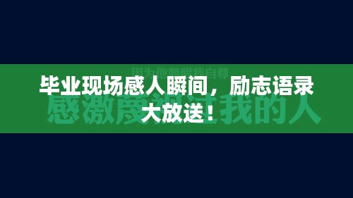 毕业现场感人瞬间,励志语录大放送!