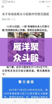 雁洋聚众斗殴视频曝光，深度解析事件警示社会