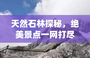 天然石林探秘,绝美景点一网打尽,必读旅游攻略!