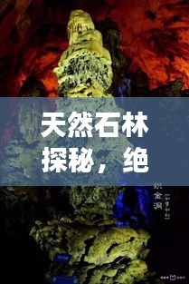 天然石林探秘,绝美景点一网打尽,必读旅游攻略!