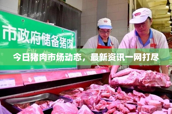 今日猪肉市场动态，最新资讯一网打尽
