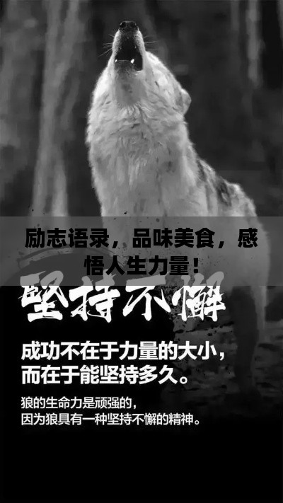 励志语录，品味美食，感悟人生力量！