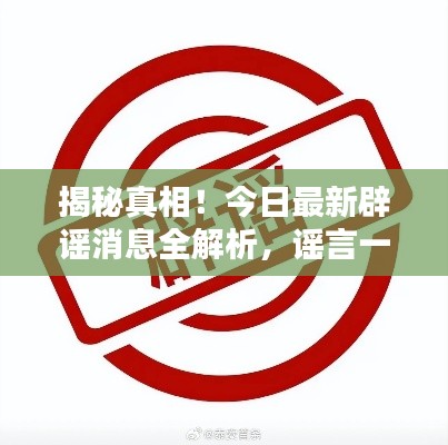 2025年8月 第33页