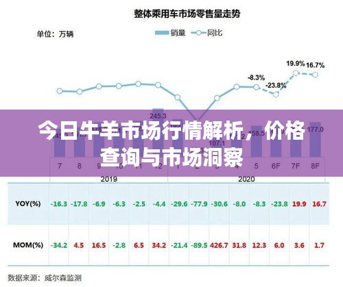 今日牛羊市场行情解析,价格查询与市场洞察