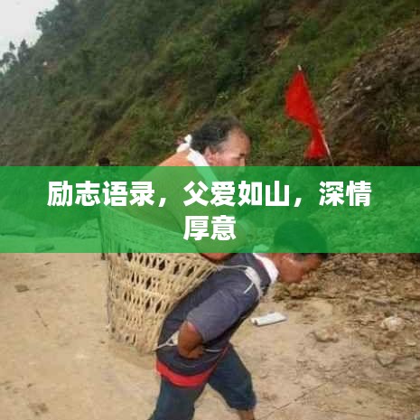 2025年8月 第29页