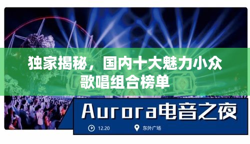 独家揭秘，国内十大魅力小众歌唱组合榜单