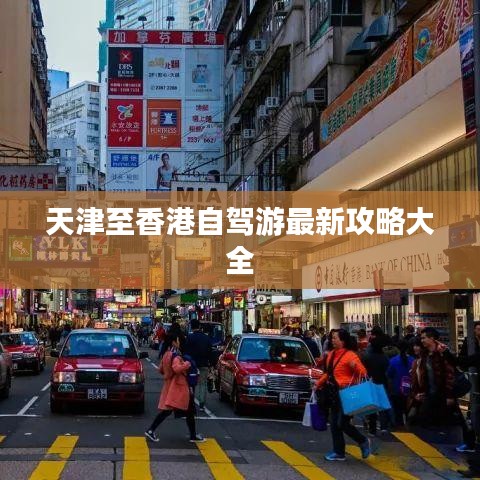 2025年8月 第17页