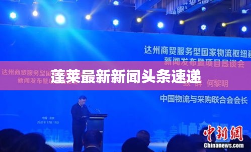蓬莱最新新闻头条速递