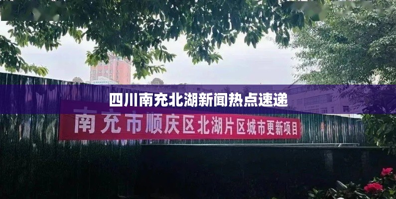 2025年8月 第12页