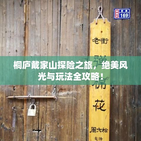 桐庐戴家山探险之旅,绝美风光与玩法全攻略!