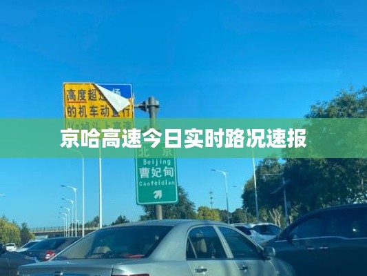 莺啼鸟啭