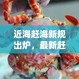 2025年8月 第8页