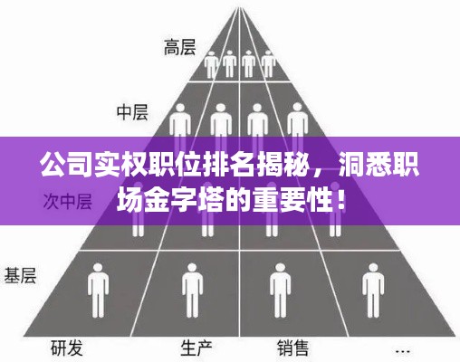 公司实权职位排名揭秘，洞悉职场金字塔的重要性！