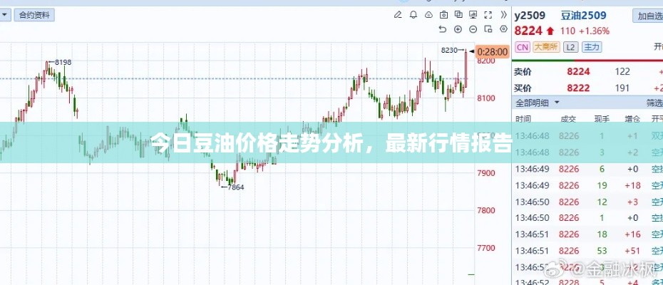 今日豆油价格走势分析,最新行情报告