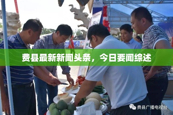 费县最新新闻头条，今日要闻综述