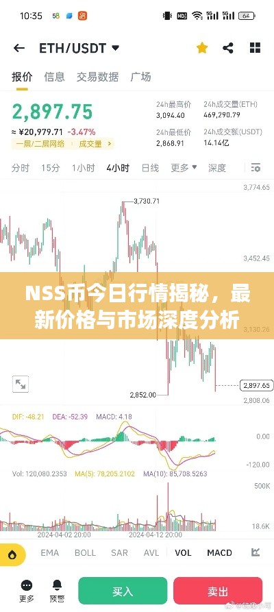 NSS币今日行情揭秘,最新价格与市场深度分析