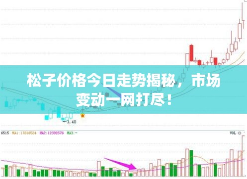 2025年8月20日 第5页