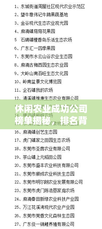 休闲农业成功公司榜单揭秘，排名背后的启示与借鉴