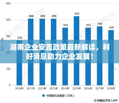 湖南企业安置政策最新解读，利好消息助力企业发展！