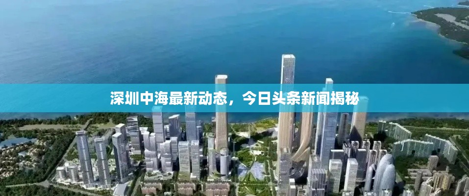深圳中海最新动态，今日头条新闻揭秘