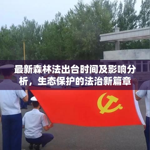 最新森林法出台时间及影响分析，生态保护的法治新篇章