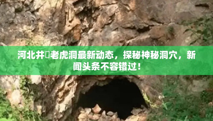 河北井陞老虎洞最新动态，探秘神秘洞穴，新闻头条不容错过！