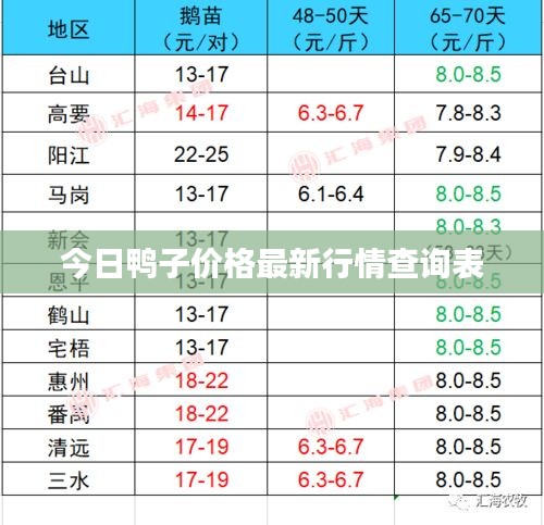 今日鸭子价格最新行情查询表
