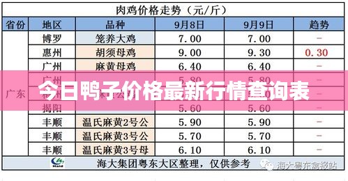 今日鸭子价格最新行情查询表
