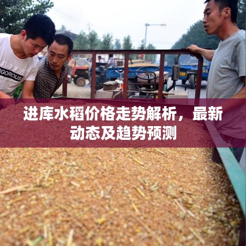 罗含梦鸟