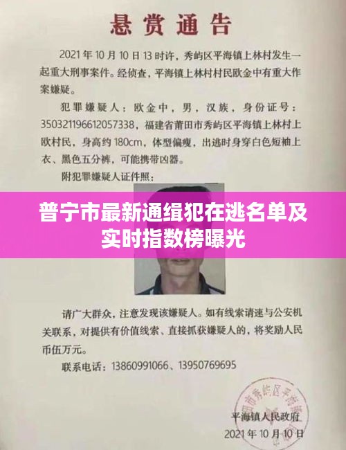 普宁市最新通缉犯在逃名单及实时指数榜曝光