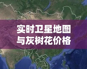实时卫星地图与灰树花价格一网打尽,导航与资源指南