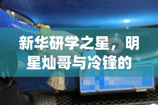 花开无言