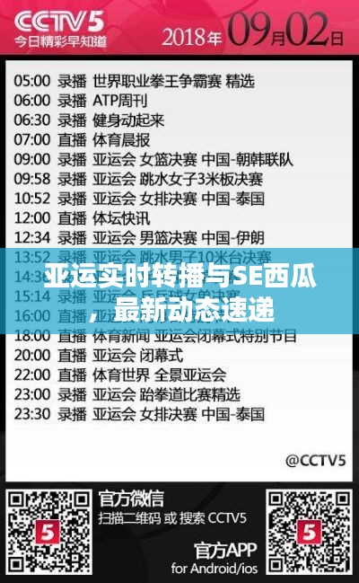 网站案例 第8页