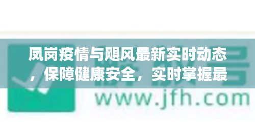 凤岗疫情与飓风最新实时动态,保障健康安全,实时掌握最新资讯