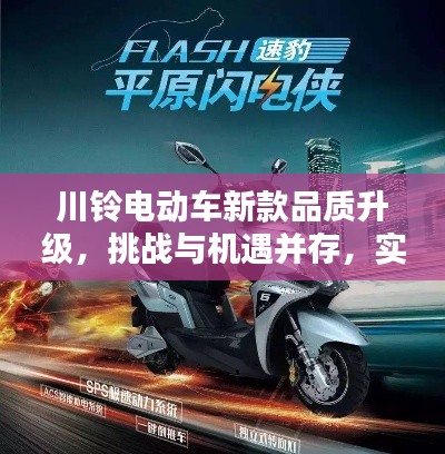 资料下载 第4页
