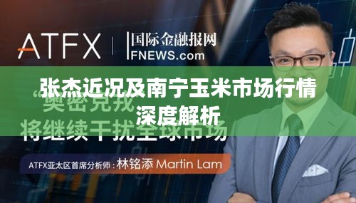 张杰近况及南宁玉米市场行情深度解析