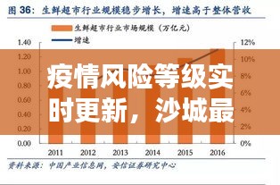 疫情风险等级实时更新,沙城最新疫情分析报告