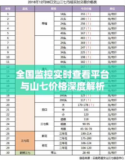 全国监控实时查看平台与山七价格深度解析