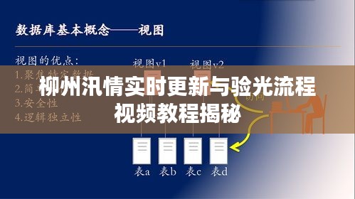 柳州汛情实时更新与验光流程视频教程揭秘